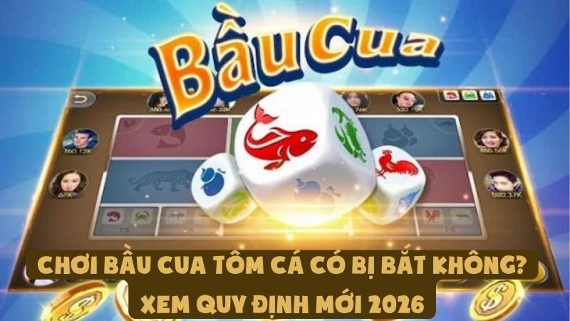Chơi Bầu Cua Tôm Cá Có Bị Bắt Không? Xem Quy Định Mới