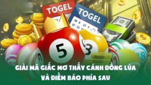 Giải Mã Giấc Mơ Thấy Cánh Đồng Lúa Và Điềm Báo Phía Sau