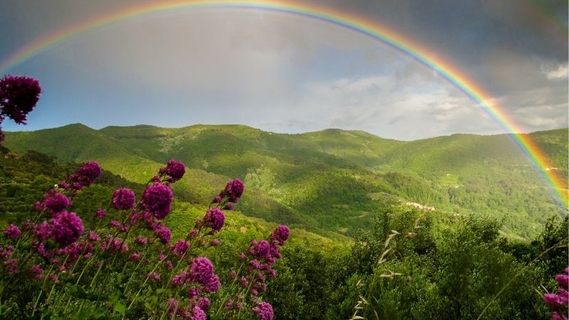Mơ Thấy Cầu Vồng | Giải Mã Ý Nghĩa Và Con Số Liên Quan