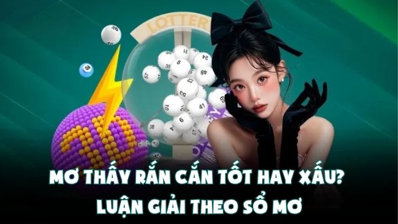Mơ Thấy Rắn Cắn Tốt Hay Xấu? | Luận Giải Theo Sổ Mơ