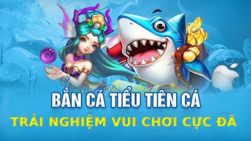 Vì Sao Bắn Cá Tiểu Tiên Cá Được Game Thủ Sunwin Chú Ý